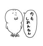 【関西弁】あざらしくん（個別スタンプ：25）