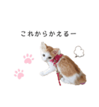 ゆずゆずスタンプ。。（個別スタンプ：7）