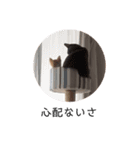 ゆずゆずスタンプ。。（個別スタンプ：8）