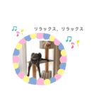 ゆずゆずスタンプ。。（個別スタンプ：9）
