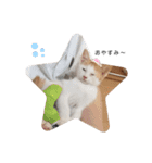ゆずゆずスタンプ。。（個別スタンプ：11）