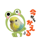 飛鳥とときどきmilky（個別スタンプ：5）