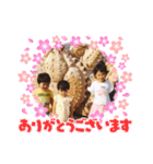 3匹の子豚ちゃん（個別スタンプ：1）