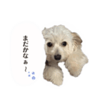 アタシはコハルですぅ。（個別スタンプ：12）