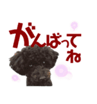 トイプのモコちゃん（個別スタンプ：4）