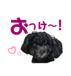 トイプのモコちゃん（個別スタンプ：7）