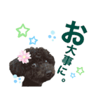 トイプのモコちゃん（個別スタンプ：10）