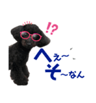 トイプのモコちゃん（個別スタンプ：13）