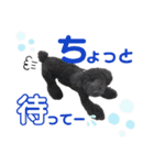 トイプのモコちゃん（個別スタンプ：14）