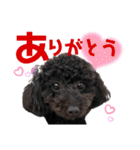 トイプのモコちゃん（個別スタンプ：29）