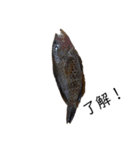 魚三昧ver11（個別スタンプ：3）