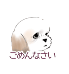 Stickers_Shih Tzu_a シーズースタンプ（個別スタンプ：2）