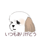 Stickers_Shih Tzu_a シーズースタンプ（個別スタンプ：4）