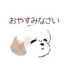 Stickers_Shih Tzu_a シーズースタンプ（個別スタンプ：7）