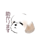 Stickers_Shih Tzu_a シーズースタンプ（個別スタンプ：9）