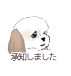 Stickers_Shih Tzu_a シーズースタンプ（個別スタンプ：11）