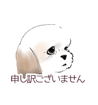 Stickers_Shih Tzu_a シーズースタンプ（個別スタンプ：12）