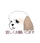 Stickers_Shih Tzu_a シーズースタンプ（個別スタンプ：14）