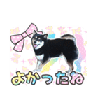 黒柴犬 の ♡ 敬語 ♡ スタンプ03 豆柴 凛（個別スタンプ：34）