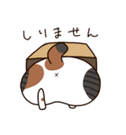 トラとチョビの日常（個別スタンプ：17）