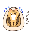 トラとチョビの日常（個別スタンプ：25）
