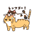 トラとチョビの日常（個別スタンプ：36）