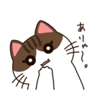 トラとチョビの日常（個別スタンプ：39）