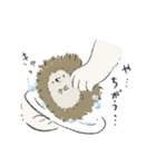 動物つめこみスタンプズ（個別スタンプ：10）
