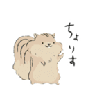 動物つめこみスタンプズ（個別スタンプ：12）