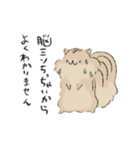 動物つめこみスタンプズ（個別スタンプ：19）