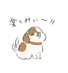 動物つめこみスタンプズ（個別スタンプ：37）