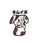 語尾がイヌ わんこスタンプ（個別スタンプ：5）