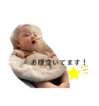 aoi 6M（個別スタンプ：10）