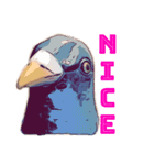 鳩バヤさん ザ・ファイナル（個別スタンプ：6）