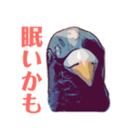 鳩バヤさん ザ・ファイナル（個別スタンプ：17）