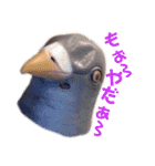 鳩バヤさん ザ・ファイナル（個別スタンプ：22）