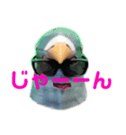鳩バヤさん ザ・ファイナル（個別スタンプ：23）