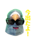 鳩バヤさん ザ・ファイナル（個別スタンプ：35）