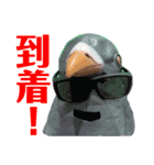鳩バヤさん ザ・ファイナル（個別スタンプ：36）