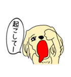 かわいい犬の日常スタンプ（個別スタンプ：6）