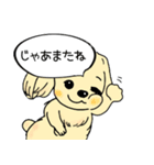 かわいい犬の日常スタンプ（個別スタンプ：29）