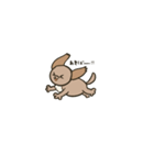 チワプーとダックス（個別スタンプ：4）