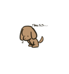 チワプーとダックス（個別スタンプ：8）