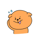 にこいちわんこ 2（個別スタンプ：11）