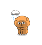 にこいちわんこ 2（個別スタンプ：21）