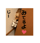 ぽんた♡（個別スタンプ：4）