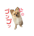 ぽんた♡（個別スタンプ：6）