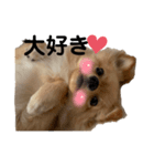 ぽんた♡（個別スタンプ：8）