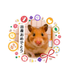 可愛いハムスタースタンプ♫（個別スタンプ：27）
