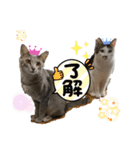 しらたまさんとこんにゃく①（個別スタンプ：2）
